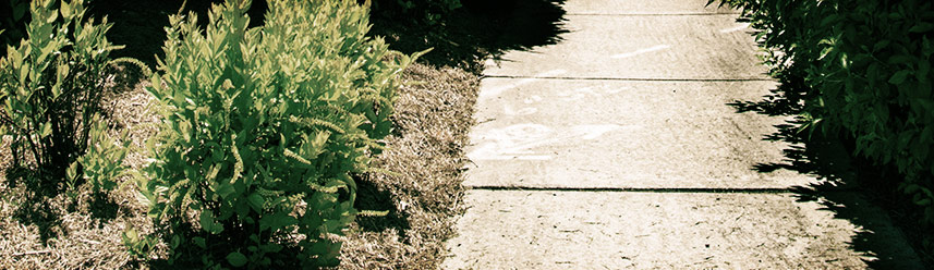 账号交易中心的网站流量攻击